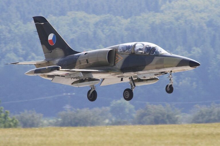 У Чехії помстилися генералу за бажання передати Україні винищувачі