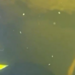 Водолази ДСНС провели підводну операцію при -15&deg;C