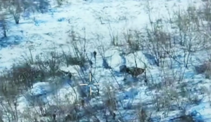 Біля Покровська рій FPV‑дронів ЗСУ врятував військових від полону