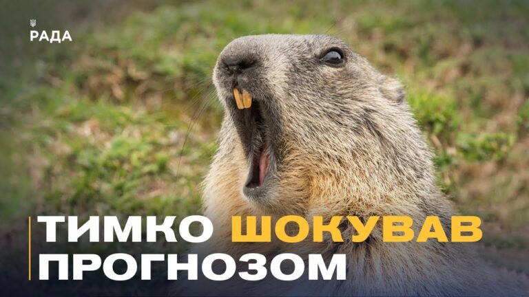 Бабак Тимко зробив прогноз: скільки ще триватиме зима?