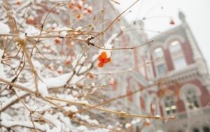 НБУ учетверте поспіль зменшив продаж доларів