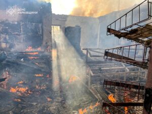 Російські дрони вдарили по селу на Харківщині