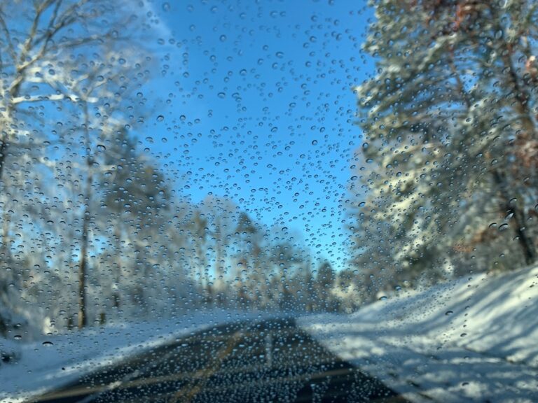 Сніг, дощ і ожеледиця: синоптики про погоду в Україні