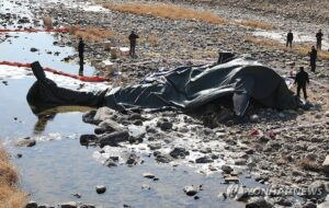 У Південній Кореї розбився військовий вертоліт