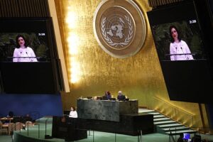 Україна в ООН відкинула територіальні поступки РФ