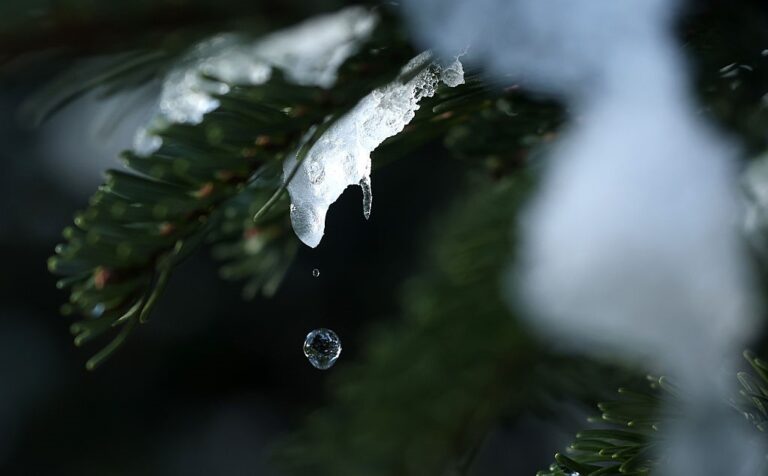 В Україні прогнозують значне потепління