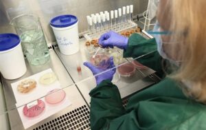 Вчені створили бактерії, здатні “з’їдати” ракові пухлини