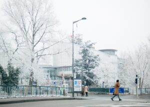 ЄСПЛ відхилив скаргу проти України щодо рейсу MH17