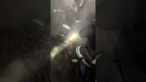 ПОЧУЙТЕ ЦЕЙ ПИСК… 💔