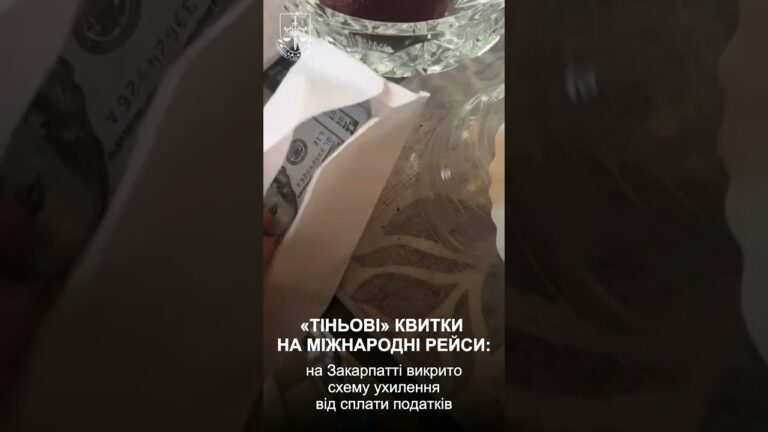 Продавали квитки на рейси до ЄС без кас і податків: багатомільйонну схему викрито на Закарпатті