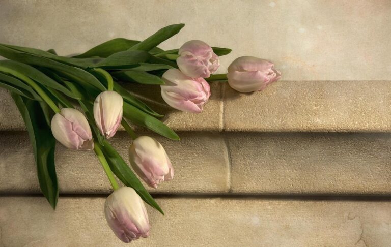 Свята 13 березня 2026: факти, традиції, іменини