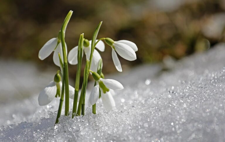 Свята 19 березня 2026 року: факти, події, заборони