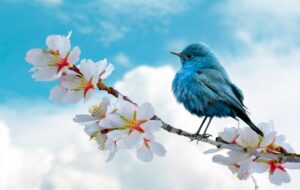 Свята 26 березня 2026: події, традиції, прикмети