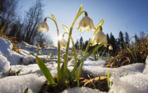 У низці областей України очікується до +13 градусів тепла