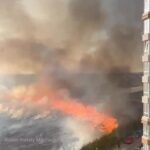 У Софіївській Борщагівці вирує масштабна пожежа