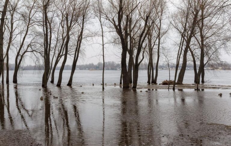 Уряд прогнозує в Україні масштабні весняні повені