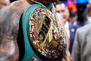 WBC розкрив причини присвоєння титульного статусу поєдинку Усик – Верховен
