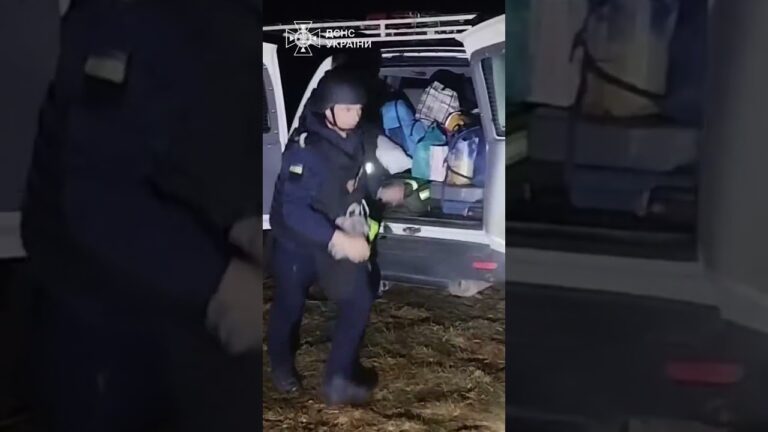 2 дітей, жінку та їхнього улюбленця евакуювали на Сумщині!