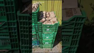 У Харкові ліквідовано “гаражну фабрику” цигарок на майже 2,5 млн грн