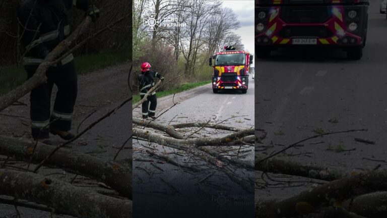 Через негоду в Україні загинули 2 людей