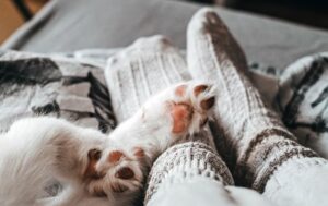 Шкарпетки замість снодійного: неочевидний секрет кращого сну