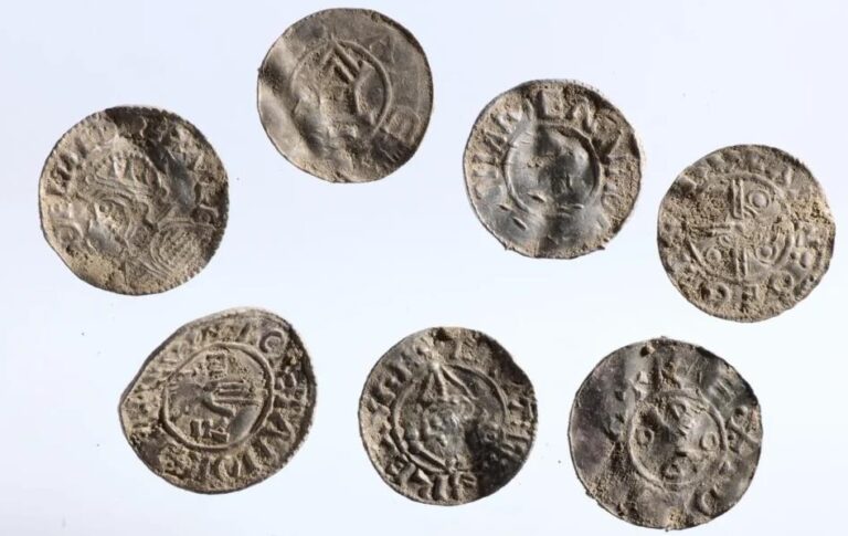 У Норвегії знайшли найбільший скарб епохи вікінгів