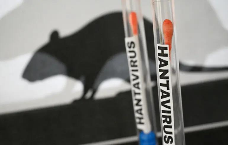 Хантавірус і глобальна паніка: кому вигідний новий страх