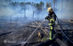На Чернігівщині палають тисячі гектарів лісу