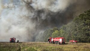 На Київщині сталася масштабна лісова пожежа