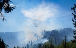 На Закарпатті перевіряють версію про підпал лісу на замовлення РФ