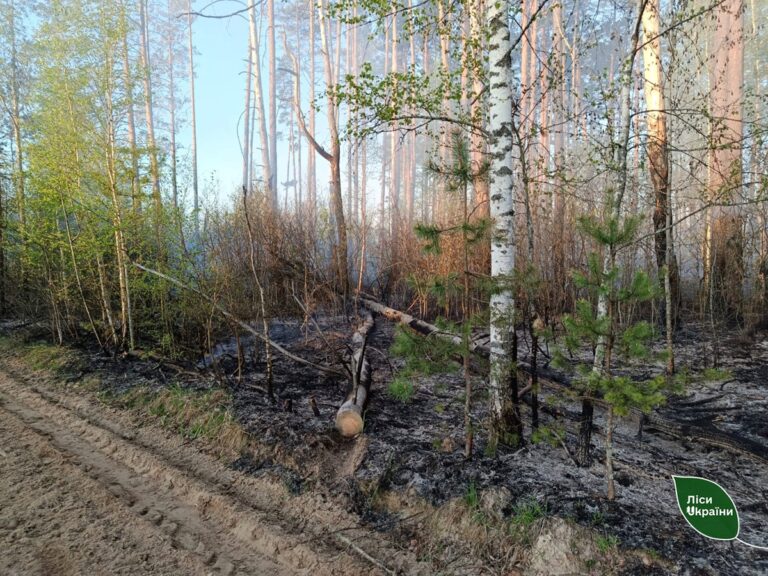Пожежу площею 5800 га локалізували на Чернігівщині