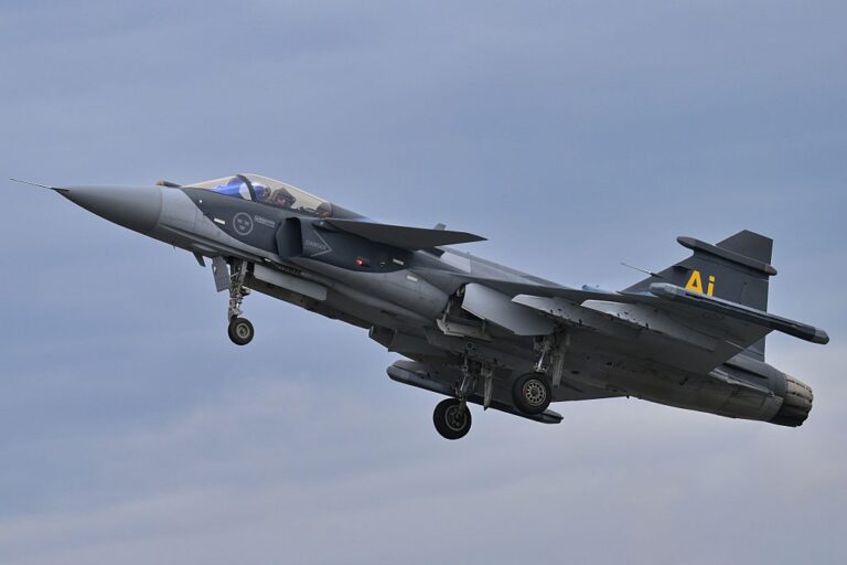 Угода зі Швецією щодо Gripen: які умови