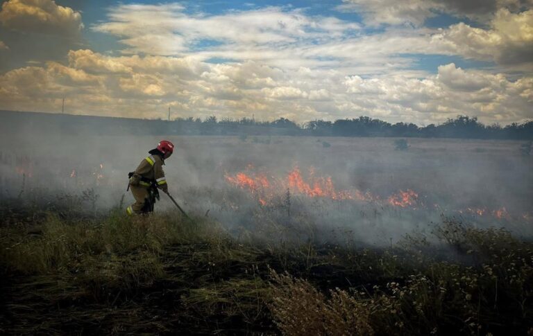 На Миколаївщині через удар Росії горіли 10 га поля