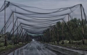 На Волині встановлять антидронові сітки поблизу кордону з Білоруссю