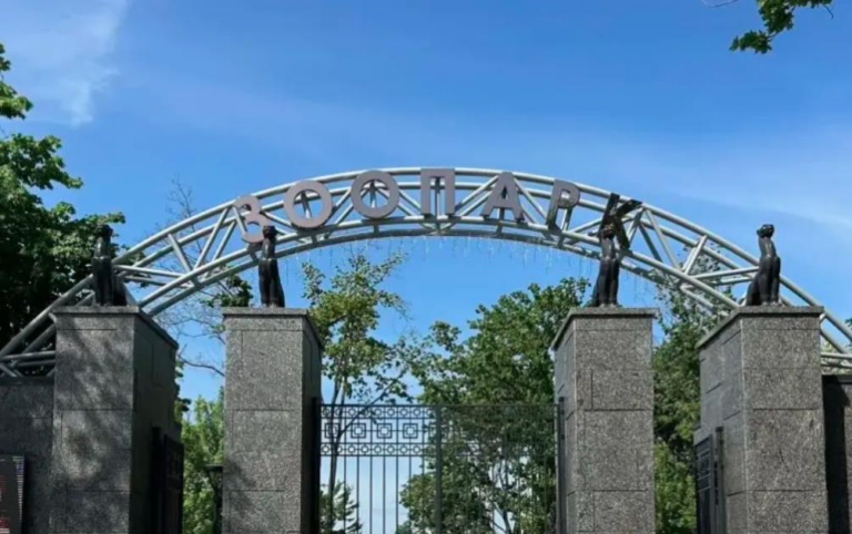 Росіяни вдарили по зоопарку в Харкові: постраждали тварини