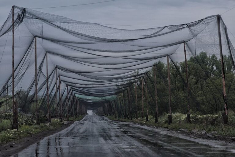 В Україні облаштували понад 800 км антидронових тунелів