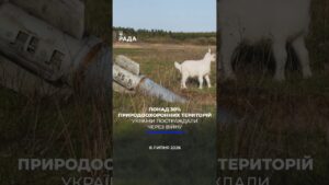 🗓️ 08.07.2026☀️ Ранкові новини🔴 1596-ий день війни