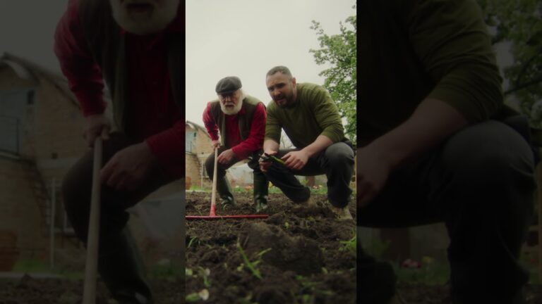 Твій город та поле змінилися!