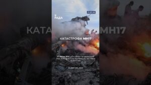 12 років тому, 17 липня, на Донеччині, російська ракета «Бук» збила пасажирський літак МН17