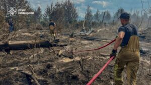 Масштабні пожежі в Чорнобильській зоні: що кажуть рятувальники