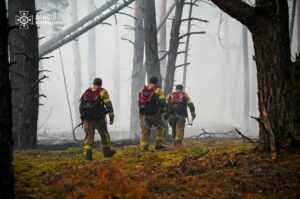 Пожежу в зоні відчуження взяли під контроль