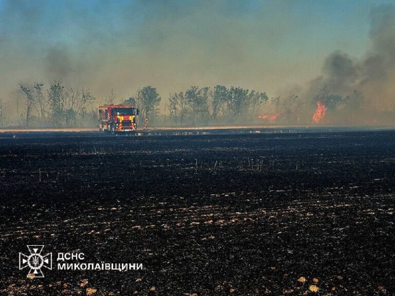 Росіяни вдарили по полях на Миколаївщині