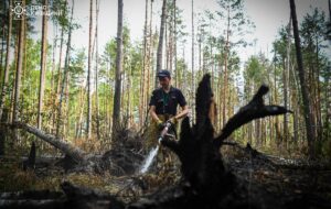 У Чорнобильській зоні загасили масштабну пожежу