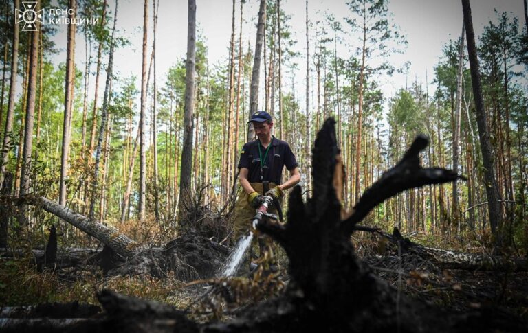 У Чорнобильській зоні загасили масштабну пожежу