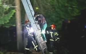 У Львові рятувальники зняли з дерева жінку та її кота