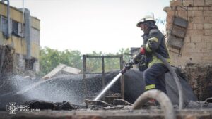Уряд скерує 3 млрд на відновлення Вишневого