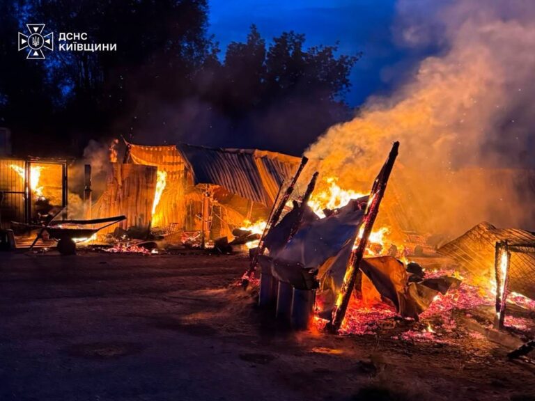 На Київщині горів притулок для тварин