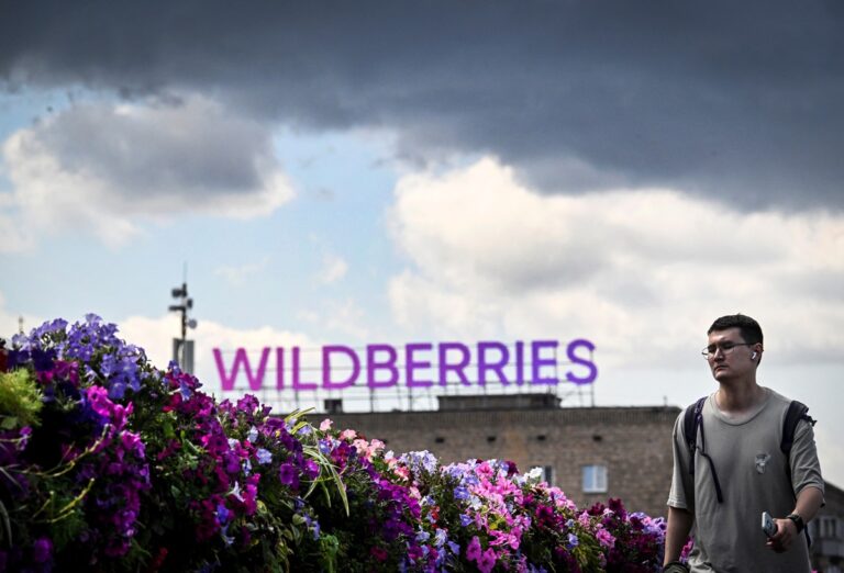 Після атак у РФ Wildberries розширює логістику в Казахстані